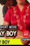 Nonton Film Semi India 18+ Play Boy Tamil