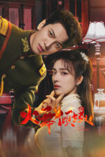 Drama China Blazing Elegance (2025)