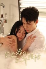 Drama China Marry to the Enemy of My Enemy (2025)